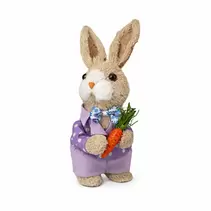 Conejo Vest. Violeta Zanahoria