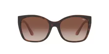 Anteojos De Sol Jack Pacific JK1036M Café/Havana