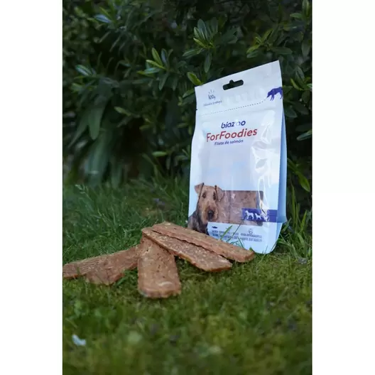 Golosina para Perros Biazoo Filete Samon 100 grs