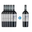 Caja de 6 unidades Casas del Bosque Gran Reserva Carmenere (PAGUE 5, LLEVE 6)