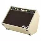 Amplificador de 60 Watts para Guitarra (Tienda San Diego)