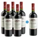 Caja de 6 unidades Casas del Bosque Collection Carmenere (PAGUE 5, LLEVE 6)
