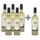 Caja de 6 unidades Miguel Torres Santa Digna Reserva Sauvignon Blanc ($4.991 c/u) 5*6