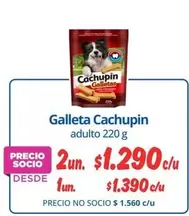 Cachupin - Galleta