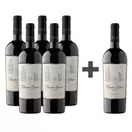 Caja 6 botellas Founders Collection Carmenere (PAGUE 5, LLEVE 6)
