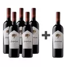 Caja de 6 unidades Arboleda Carmenere (PAGUE 5, LLEVE 6)