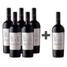 Caja 6 botellas Founders Collection Cabernet Sauvignon 5*6 (PAGUE 5, LLEVE 6)