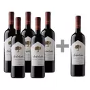 Caja 6 unidades Arboleda Cabernet Sauvignon (PAGUE 5, LLEVE 6)