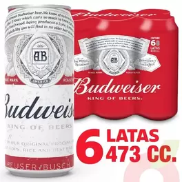 Pack Cerveza Budweiser 473Cc 6 Unidades
