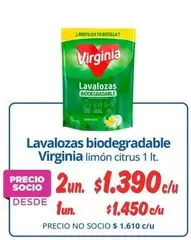 Virginia - Lavalozas Biodegradable