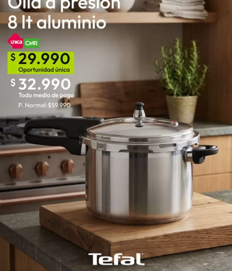 Tefal - Olla A Presion 8lt Aluminio