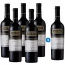 Caja 6 unidades Santa Ema Gran Reserva Carmenere 750cc (Pague 5 Lleve 6)