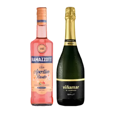 Pack Ramazzotti 700cc + Viñamar Brut 750cc$15.490$19.990