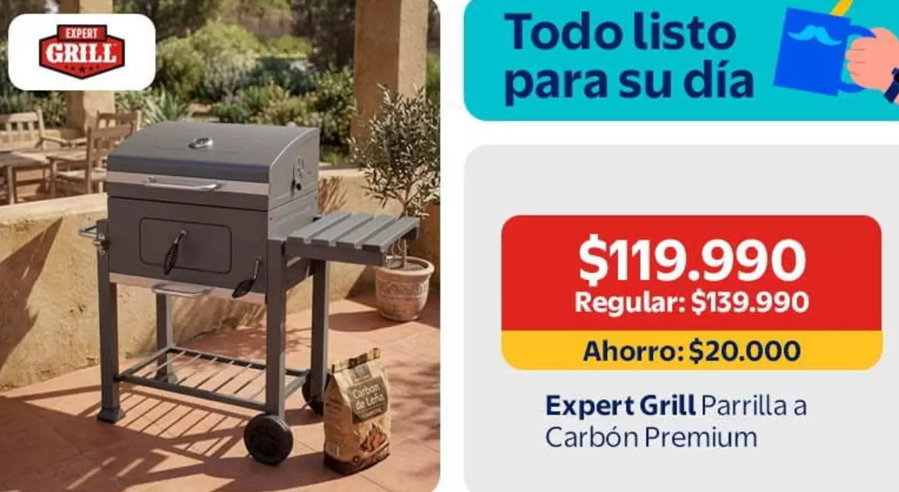 Expert Grill Parrilla A Carbon Premium