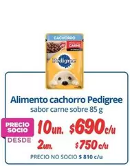 Pedigree - Alimento Cachorro