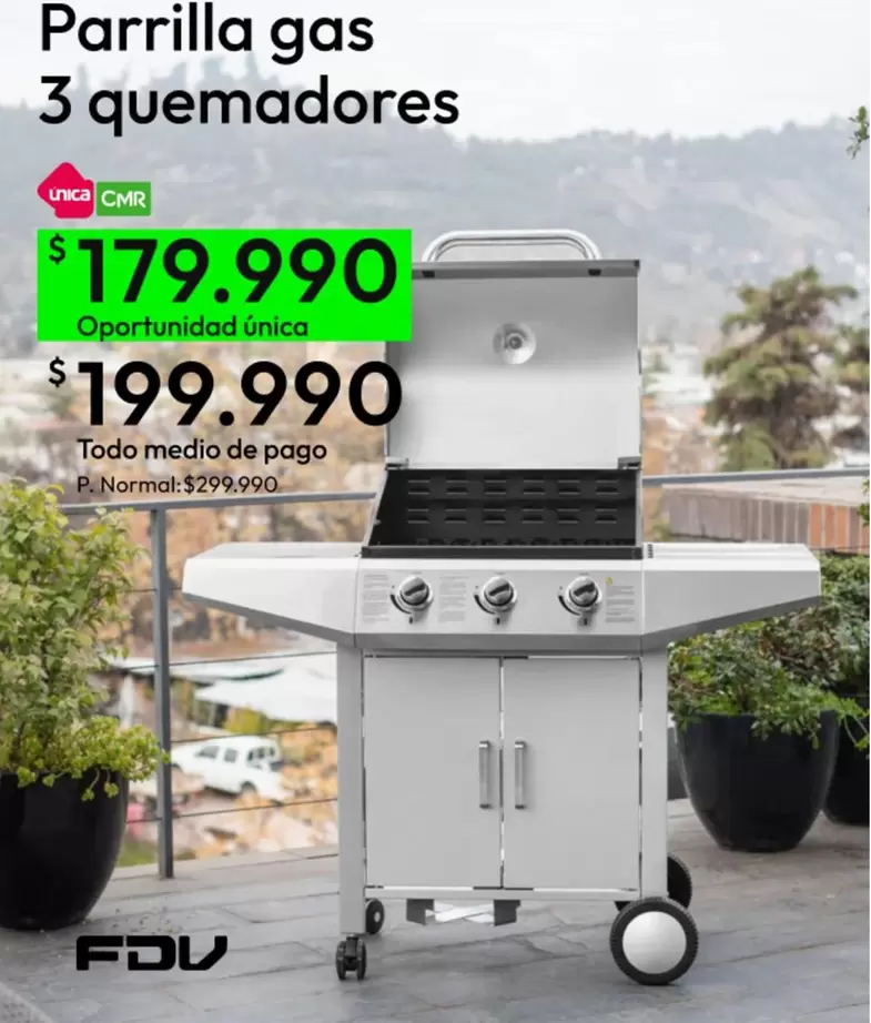 FDV - Parrilla Gas 3 Quemadores
