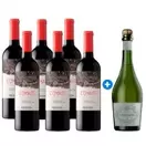 Pack de 6 unidades de Coyam, Organic Wine + Espumante Amaluna Brut Orgánico de regalo