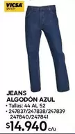Safety - Jeans Algodon Azul