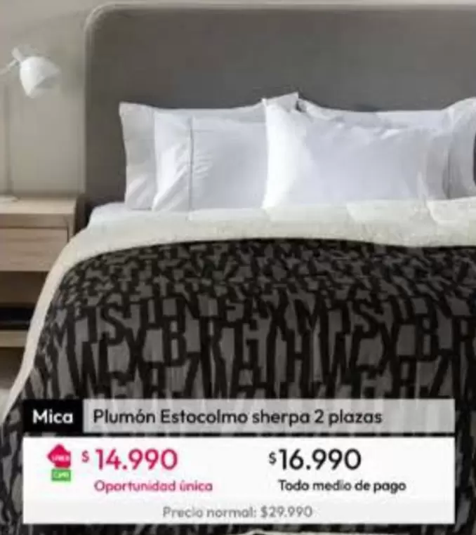Plumón