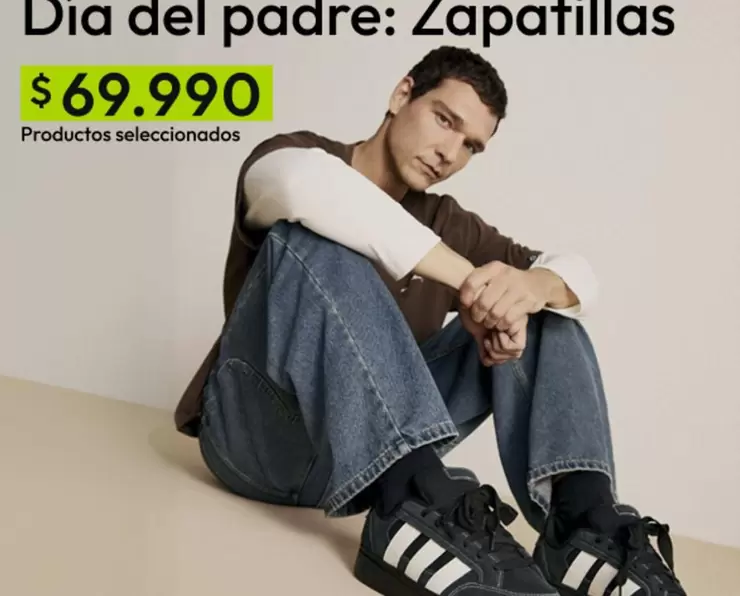 Dia Del Padre: Zapatillas
