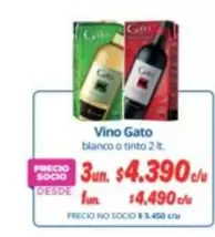 Gato - Vino Gato