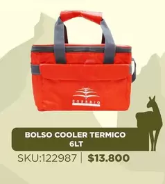 Bolso Cooler Termico 6Lt