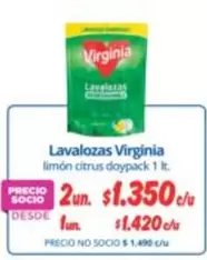 Virginia - Lavalozas