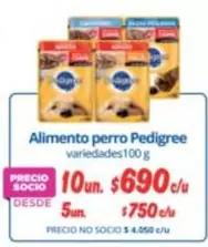 Pedigree - Alimento Perro