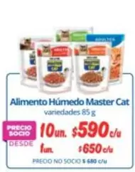 Purina - Alimento Humedo Master Cat