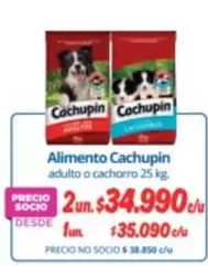 Cachupin - Alimento