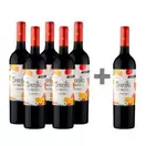 Caja 6 unidades Secreto Viu Manent Carmenere (PAGUE5 , LLEVE 6) $5.825 c/u