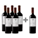 Caja 6 unidades Undurraga TH Carmenere (PAGUE 5, LLEVE 6)