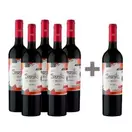 Caja 6 unidades Secreto Viu Manent Malbec (PAGUE5 , LLEVE 6) $5.825 c/u