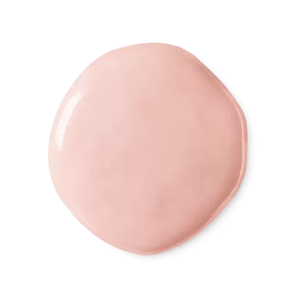 Shield