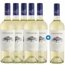 Caja de 6 unidades Casas del Bosque Collection Sauvignon Blanc (PAGUE 5, LLEVE 6) ($4.991 c/u)