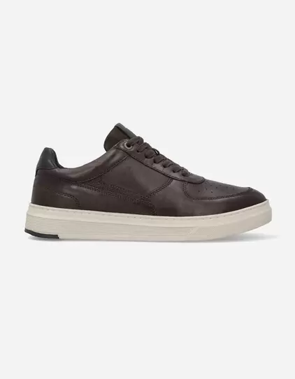 Zapatillas Urbanas Hombre Cuero Honorio Café