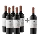 Caja 6 botellas Undurraga TH Cabernet Sauvignon (PAGUE 5, LLEVE 6) ($7.491 c/u)