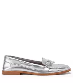 Zapato Camille Plateado