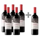 Caja de 6 unidades Coyam, Emiliana (PAGUE 5, LLEVE 6)