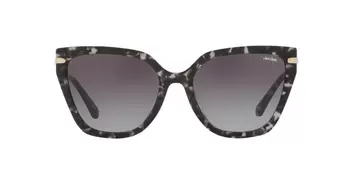 Anteojos De Sol Jack Pacific JK6005U Gris/Havana