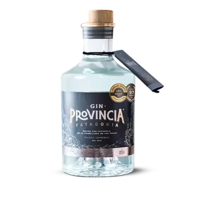 Gin Provincia Patagonia 40 700cc