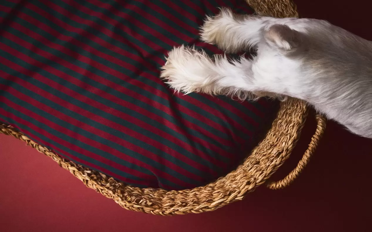 COJÍN Y CAMA PARA MASCOTAS NAVIDAD
