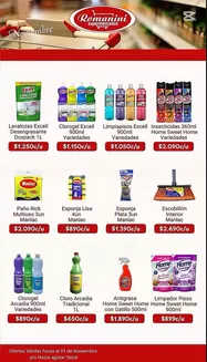 Catálogo Supermercados Romanini en Valparaíso | Oferta exclusivos! | 2025-11-06T00:00:00.000Z - 2025-11-30T00:00:00.000Z