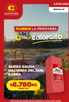 Catálogo Comercial Castro en Puente Alto | Florece la primavera! | 2025-11-14T00:00:00.000Z - 2025-11-19T00:00:00.000Z
