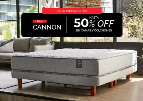 Catálogo Cannon Home | Hasta 60% Off! | 2025-11-17T00:00:00.000Z - 2025-12-01T00:00:00.000Z