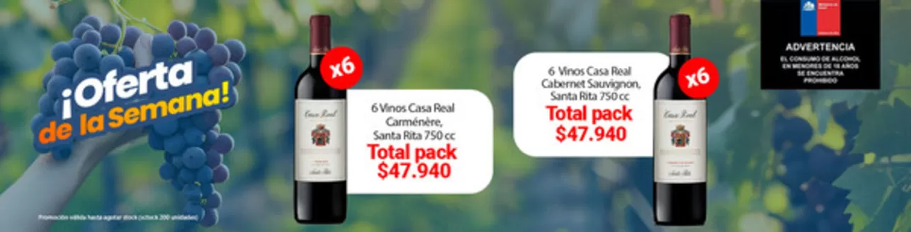 Catálogo Supermercado Diez en Antofagasta | Oferta especial! | 2025-11-20T00:00:00.000Z - 2025-12-04T00:00:00.000Z
