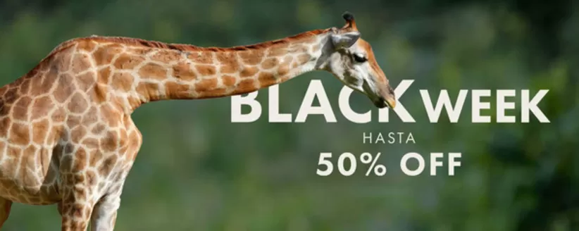 Catálogo Rockford en Las Condes | Black week! | 2025-11-26T00:00:00.000Z - 2025-12-01T00:00:00.000Z