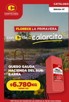 Catálogo Comercial Castro en Viña del Mar | Florence la primavera! | 2025-11-26T00:00:00.000Z - 2025-11-30T00:00:00.000Z