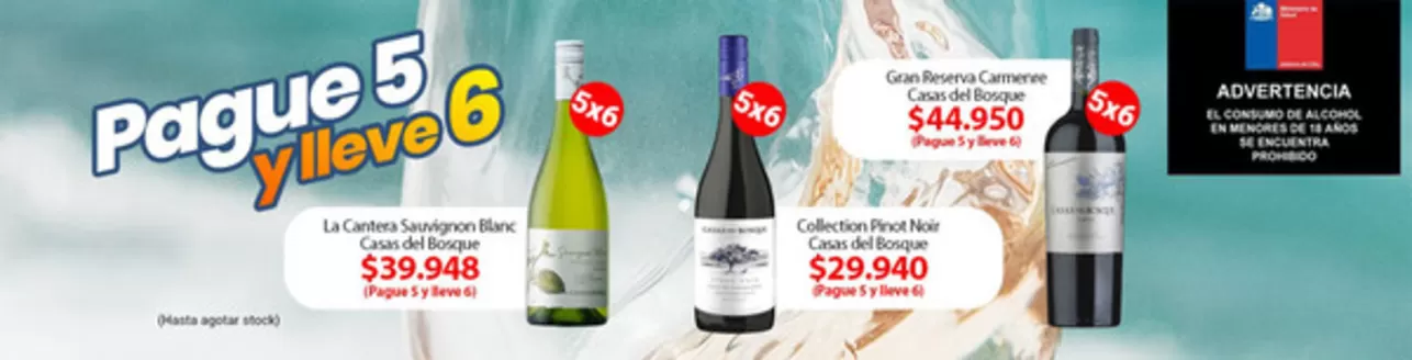 Catálogo Supermercado Diez en Renca | Oferta exclusivos! | 2025-12-05T00:00:00.000Z - 2025-12-19T00:00:00.000Z