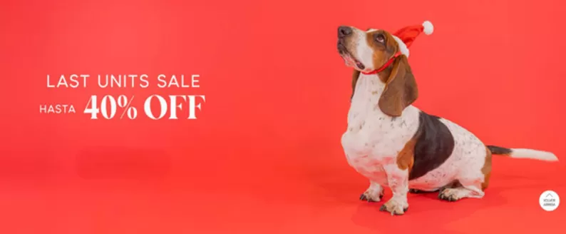 Catálogo Hush Puppies Kids en Lo Barnechea | Hasta 40% Off! | 2025-12-19T00:00:00.000Z - 2026-01-02T00:00:00.000Z